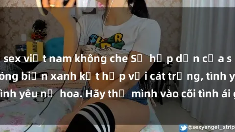 sex việt nam không che Sự hấp dẫn của sex bãi biển: Khi sóng biển xanh kết hợp với cát trắng, tình yêu nở hoa. Hãy thả mình vào cõi tình ái giữa sóng biển!